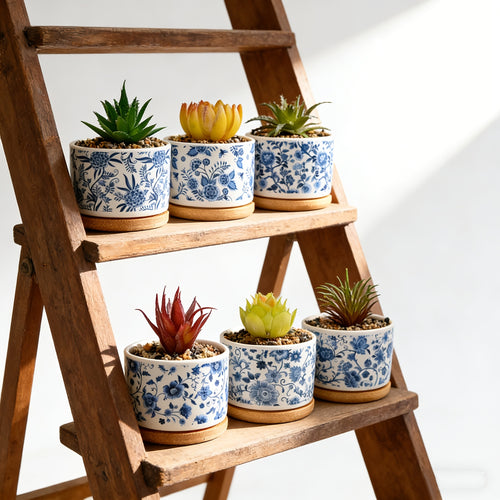 6pcs Creative Vintage And Porcelain Succulent Pot Set. Suitable for Indoor And Outdoor Use, Including Courtyards, Gardens, Offices, Living Rooms, And Cafes, This Decorative Pot Set Features Drainage Holes. Gardening Gift Home Decor