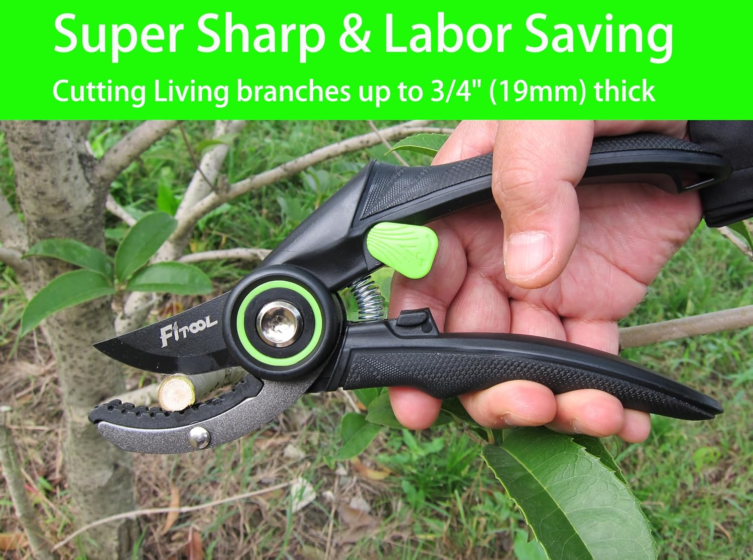 Professional Secateurs, with Super Sharp SK5 Steel Blades, Gardening Hand Clippers Pruners, Garden Trimming Scissors, Pruning Shears 8-Inch (Anvil)
