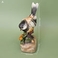 Handcrafted Artisan Resin Rock Base Bird Statue Specimen, Animal Lover's Desktop Decorative Collectible for Harvest Festival Classroom Props with Wooden Stake-Like Stand. Ideal Gift and Home Décor Piece for Living Room, Office, or Study