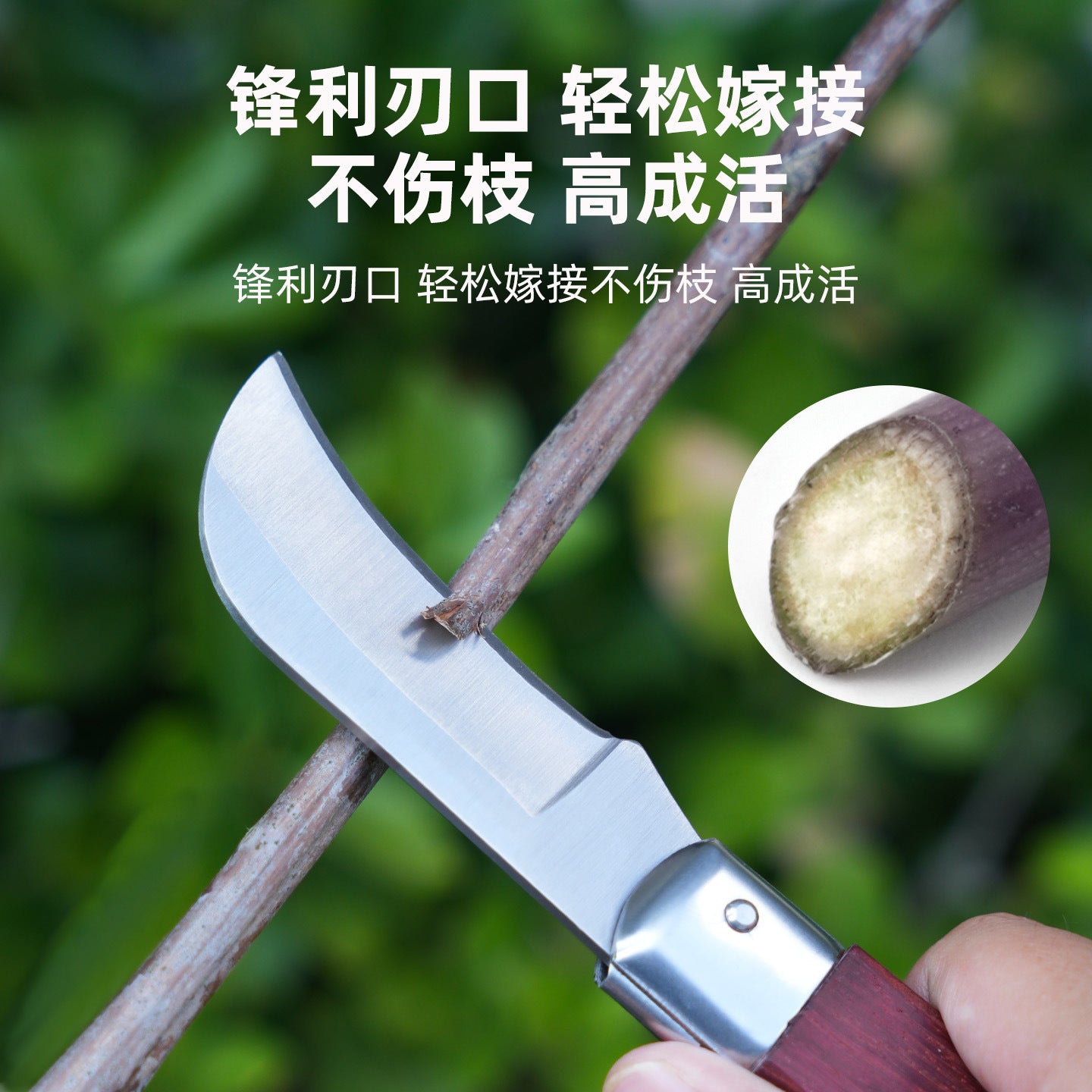 德国嫁接刀多功能手工刀果树粗树接树芽接刀园艺嫁接修枝专用工具
